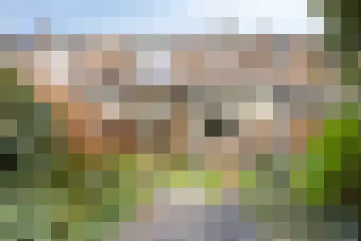 Peellaan 10 Oss thumbnail 28