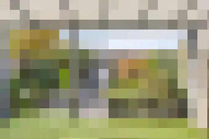 Peellaan 10 Oss thumbnail 4