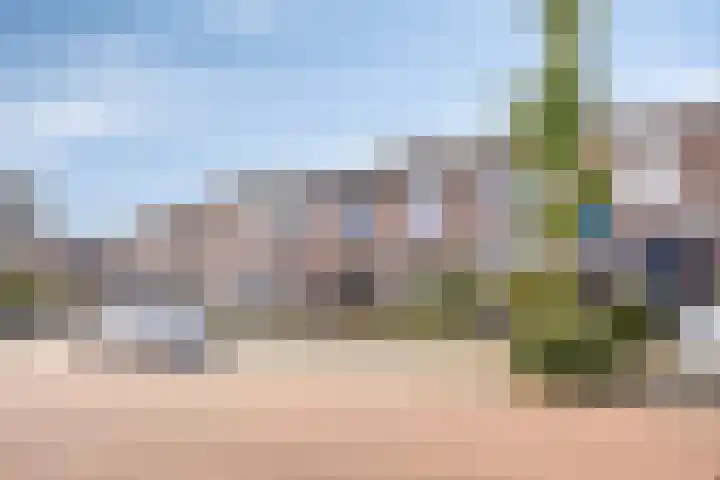 Peellaan 10 Oss thumbnail 5
