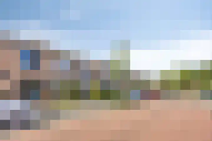 Peellaan 10 Oss thumbnail 6