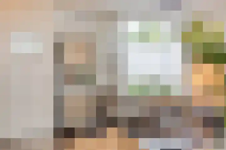 Peellaan 10 Oss thumbnail 9