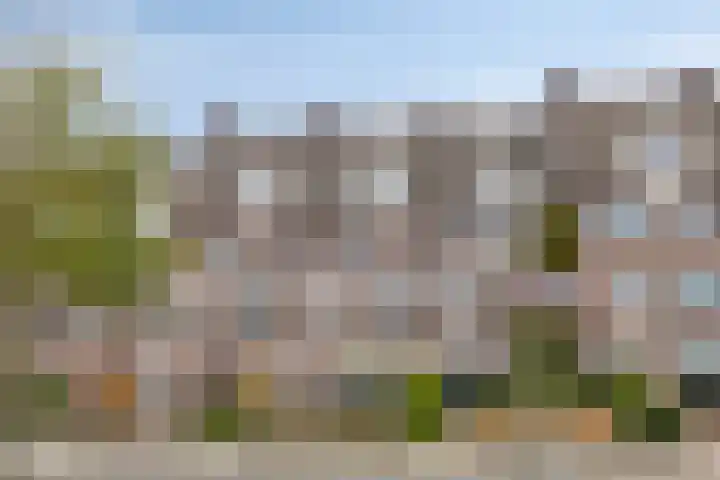 Peellaan 163 Oss thumbnail 10