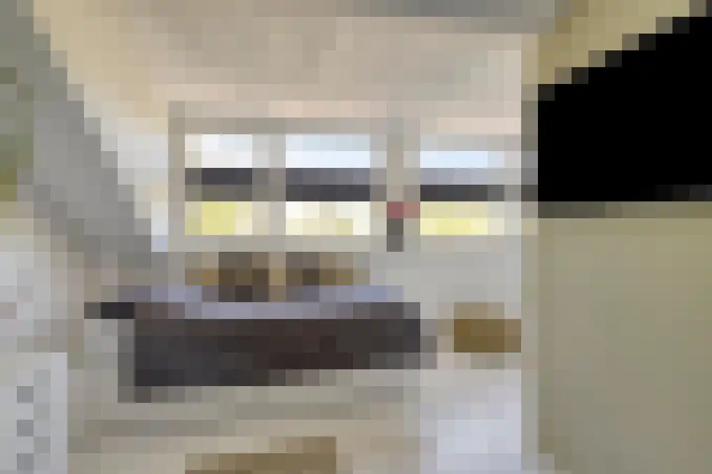 Peellaan 163 Oss thumbnail 12