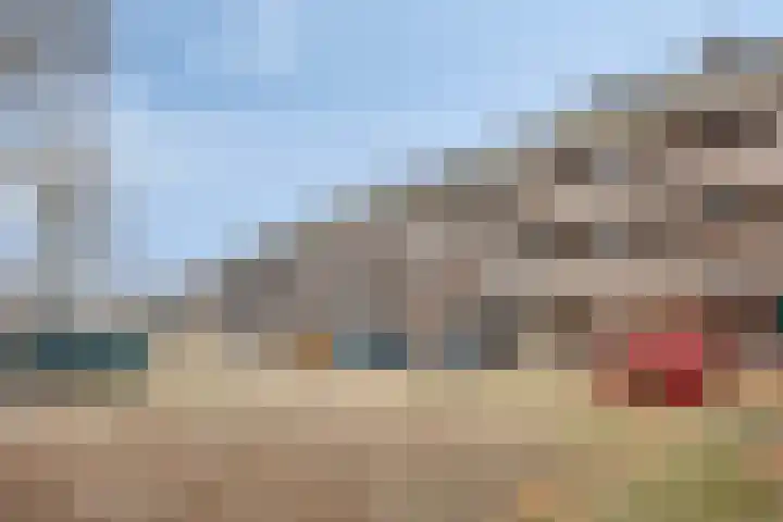 Peellaan 163 Oss thumbnail 12