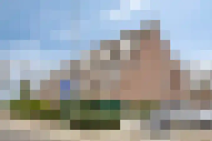 Peellaan 163 Oss thumbnail 13