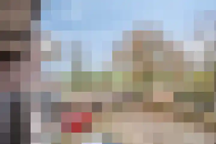 Peellaan 163 Oss thumbnail 15