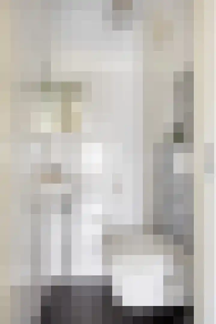 Peellaan 163 Oss thumbnail 17
