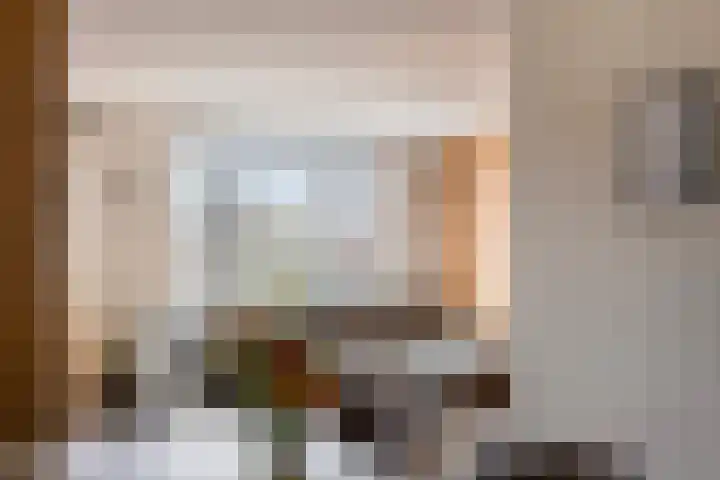 Peellaan 163 Oss thumbnail 18