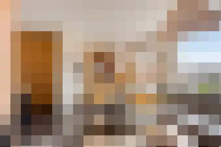 Peellaan 163 Oss thumbnail 19