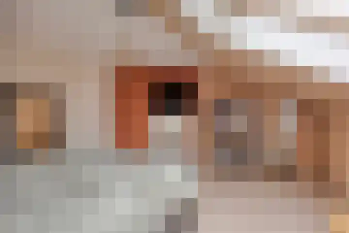 Peellaan 163 Oss thumbnail 22