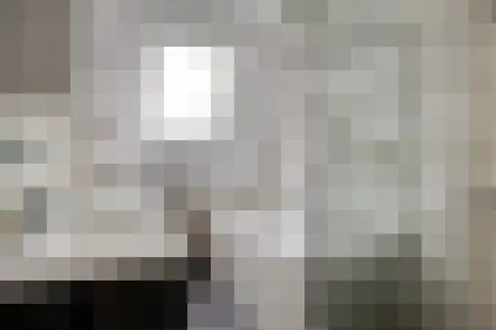Peellaan 163 Oss thumbnail 23