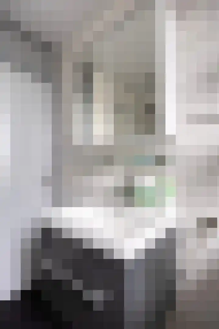 Peellaan 163 Oss thumbnail 24
