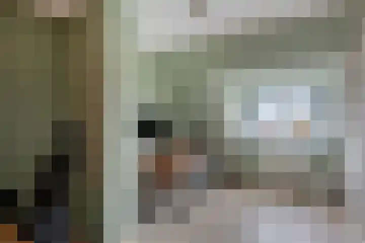 Peellaan 163 Oss thumbnail 26