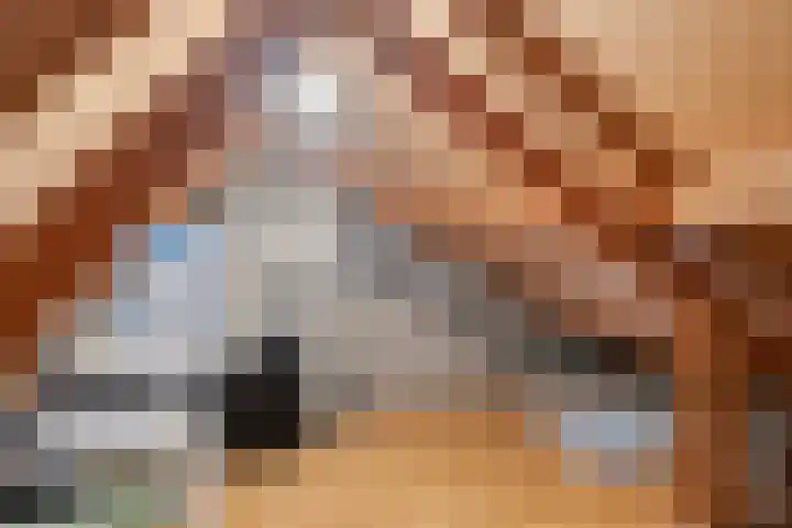 Peellaan 163 Oss thumbnail 28