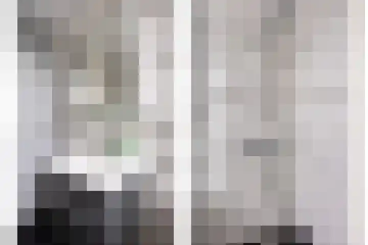Peellaan 163 Oss thumbnail 35