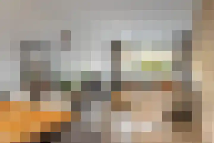 Peellaan 163 Oss thumbnail 37