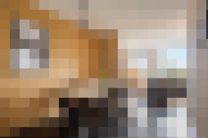 Peellaan 163 Oss thumbnail 4