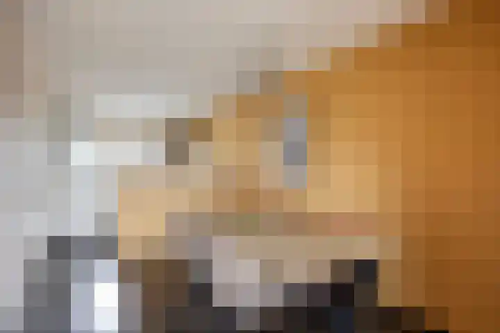 Peellaan 163 Oss thumbnail 5