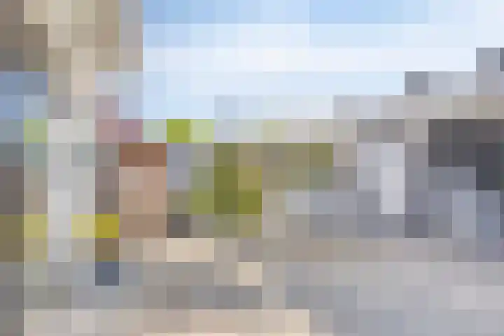 Peellaan 163 Oss thumbnail 6