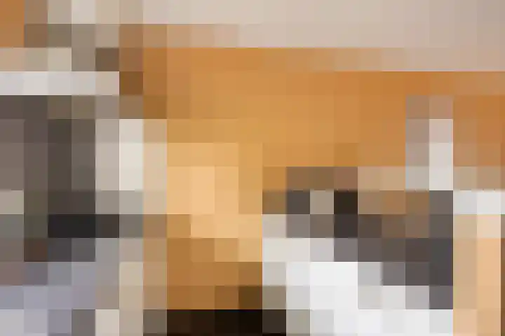 Peellaan 163 Oss thumbnail 6