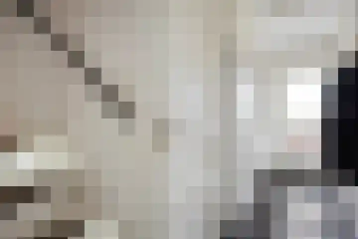 Peellaan 163 Oss thumbnail 7