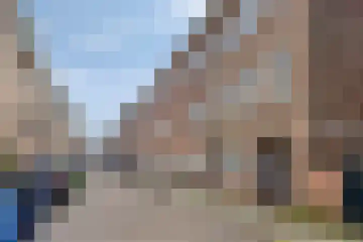 Peellandstraat 21 's-Hertogenbosch thumbnail 10