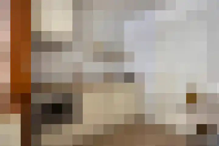 Peellandstraat 21 's-Hertogenbosch thumbnail 4