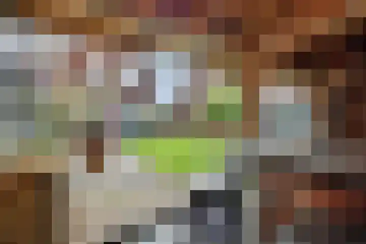 Peelrand 23 Deurne thumbnail 5