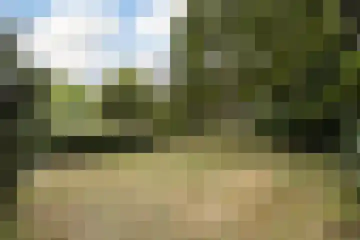 Peelstraat 15 Erica thumbnail 16