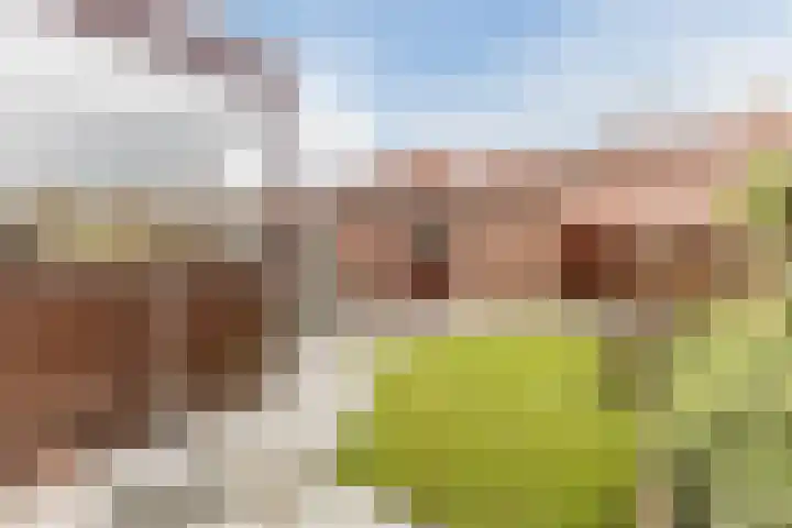 Peelstraat 9 Beverwijk thumbnail 20