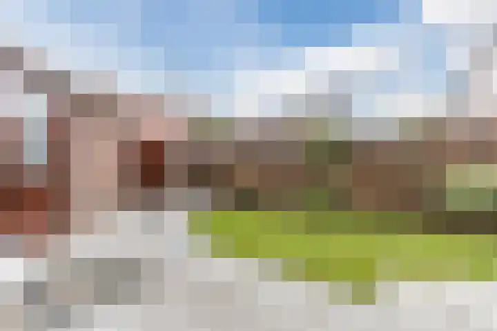 Peelstraat 9 Beverwijk thumbnail 22