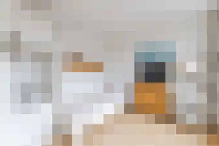 Peelstraat 9 Beverwijk thumbnail 32