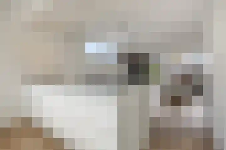 Peelven 8 a Deurne thumbnail 17