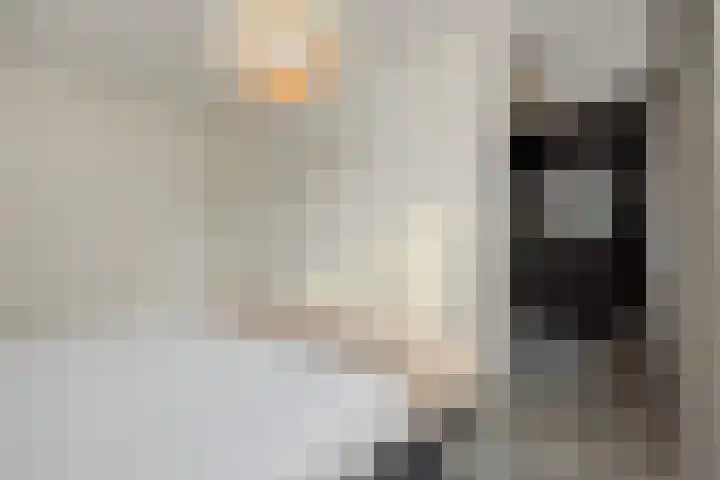Peelven 8 a Deurne thumbnail 20