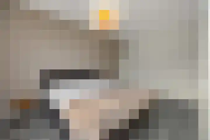 Peelven 8 a Deurne thumbnail 21
