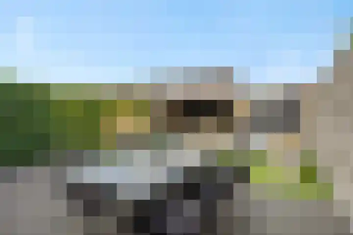 Peelven 8 a Deurne thumbnail 34