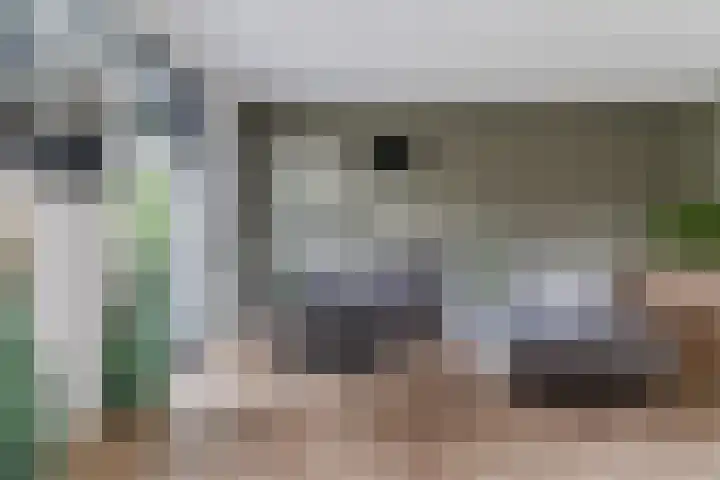 Peerdeweide 6 Alkmaar thumbnail 11