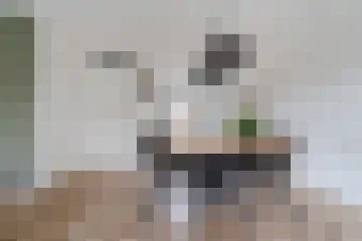 Peerdeweide 6 Alkmaar thumbnail 13