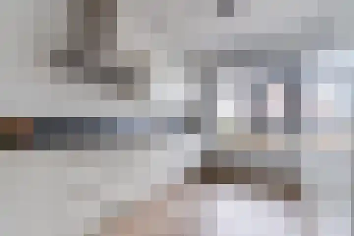 Peerdeweide 6 Alkmaar thumbnail 14