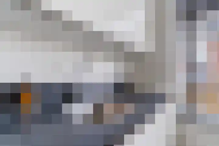 Peerdeweide 6 Alkmaar thumbnail 15