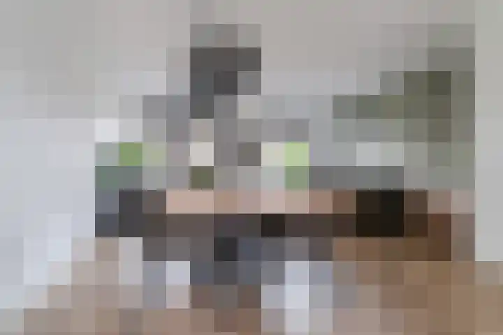 Peerdeweide 6 Alkmaar thumbnail 18