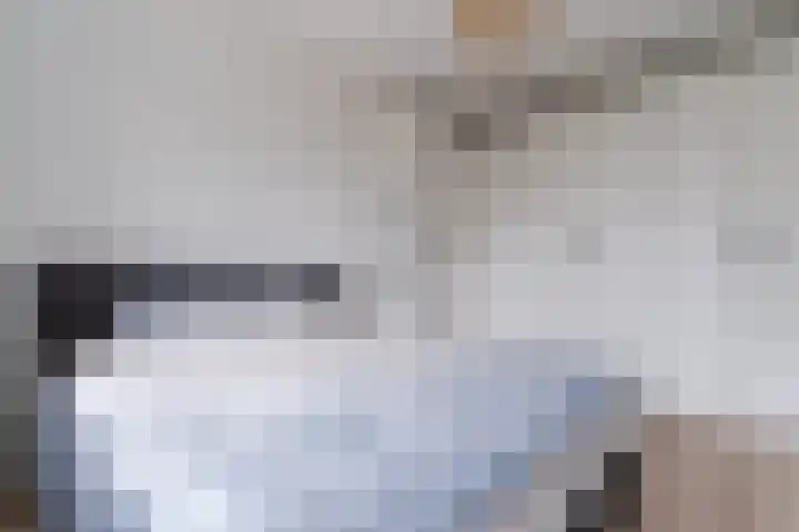 Peerdeweide 6 Alkmaar thumbnail 26