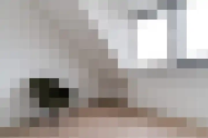 Peerdeweide 6 Alkmaar thumbnail 32