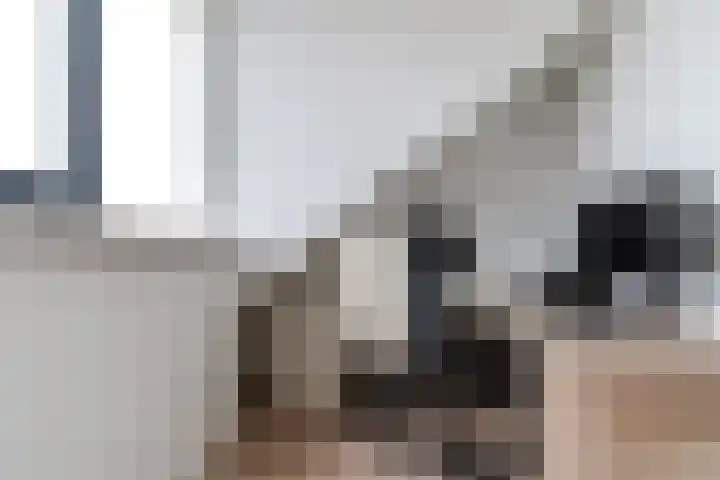 Peerdeweide 6 Alkmaar thumbnail 33
