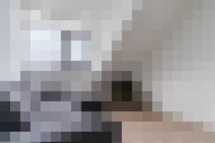 Peerdeweide 6 Alkmaar thumbnail 35