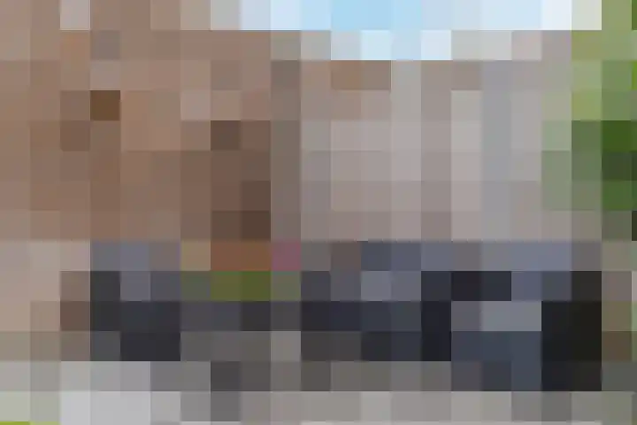Peerdeweide 6 Alkmaar thumbnail 40
