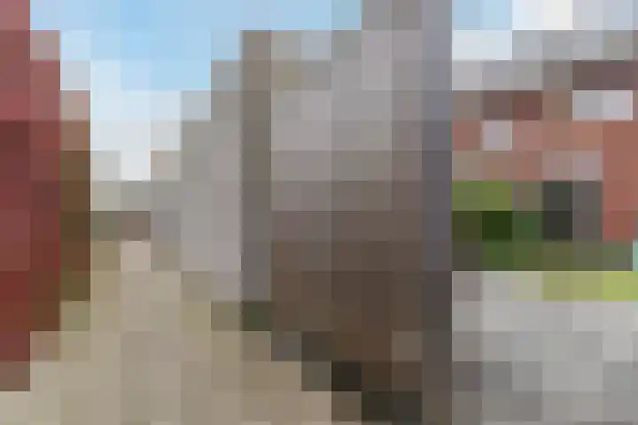 Peerdeweide 6 Alkmaar thumbnail 42