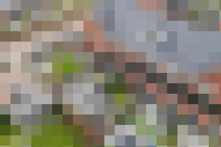 Peerdeweide 6 Alkmaar thumbnail 44