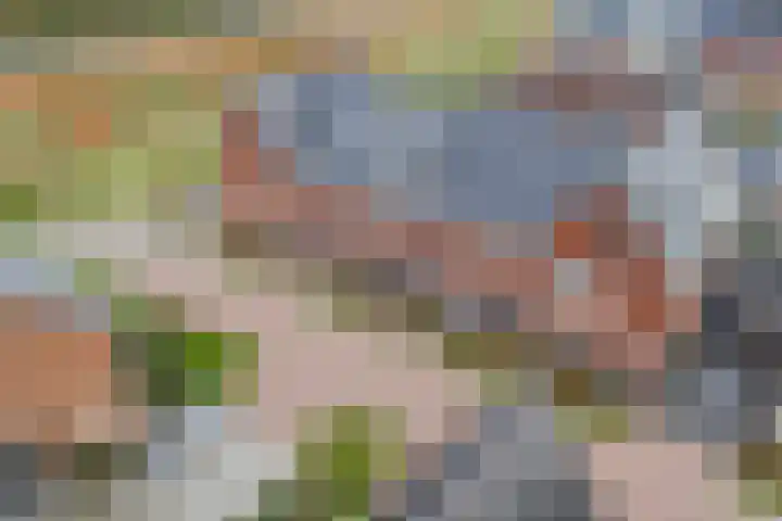 Peerdeweide 6 Alkmaar thumbnail 45