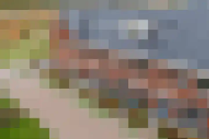Peerdeweide 6 Alkmaar thumbnail 5